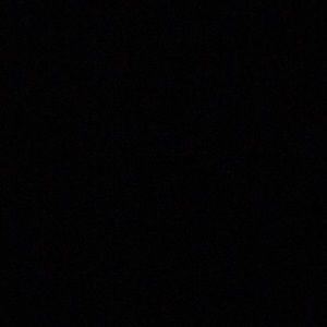 Meet your Posher, Cheyenne